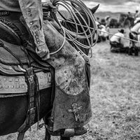 Ranchland: Wagonhound