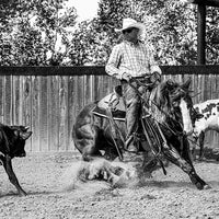 Ranchland: Wagonhound