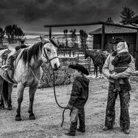 Ranchland: Wagonhound