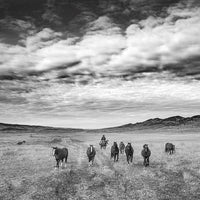 Ranchland: Wagonhound