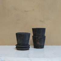 Petite Terracotta Pot & Saucer