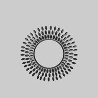 Iron Mirror