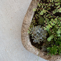 Antique Stone Trough