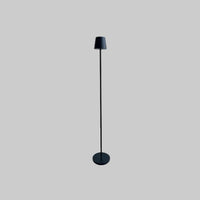 Cordless Floor lamp