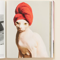 The Art of Kinfolk: An Iconic Lens on Life and Style