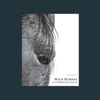 Wild Horses of Cumberland Island
