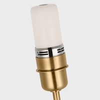 Cordless Floor Lamp