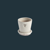 Petite White Terracotta Pot & Saucer