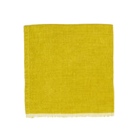 Chunky Linen Lime Napkins (set of 2)