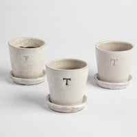 Petite White Terracotta Pot & Saucer