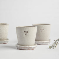 Petite White Terracotta Pot & Saucer
