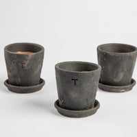 Petite Terracotta Pot & Saucer