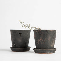 Petite Terracotta Pot & Saucer