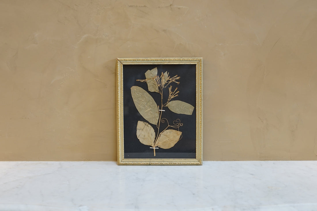 Botanicals Around The World 2.