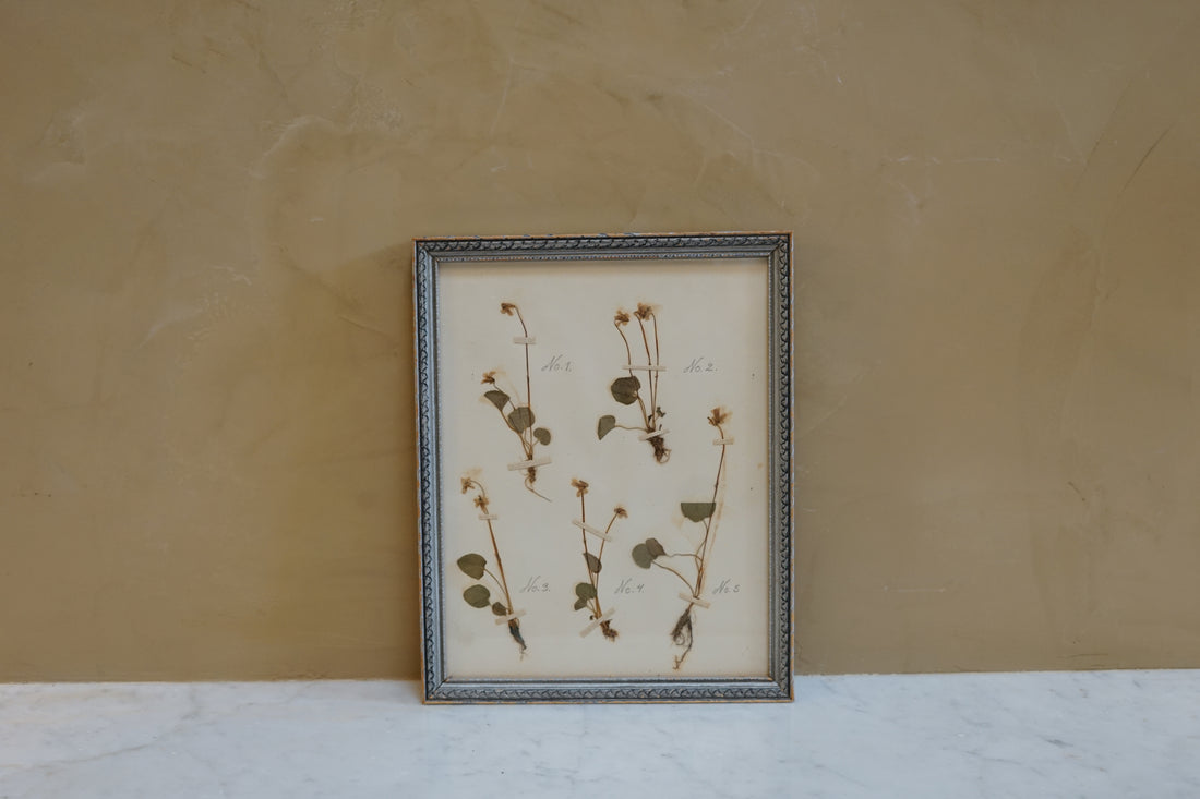 Botanicals Around The World 19