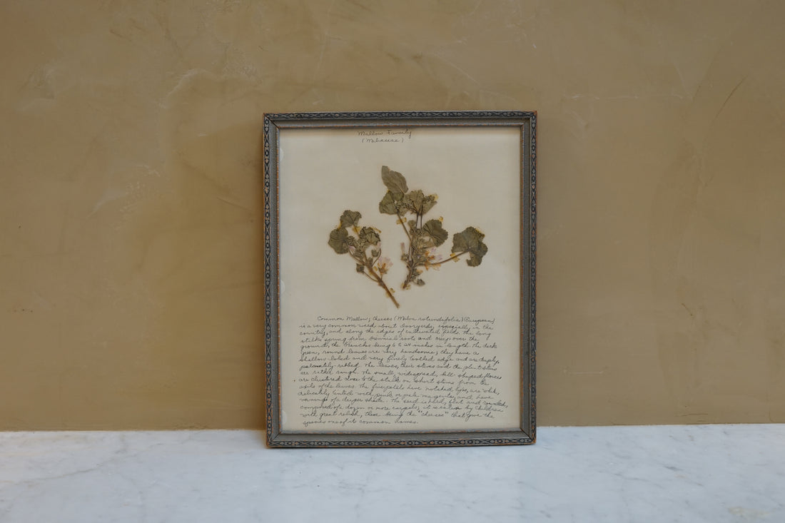 Botanicals Around The World 22