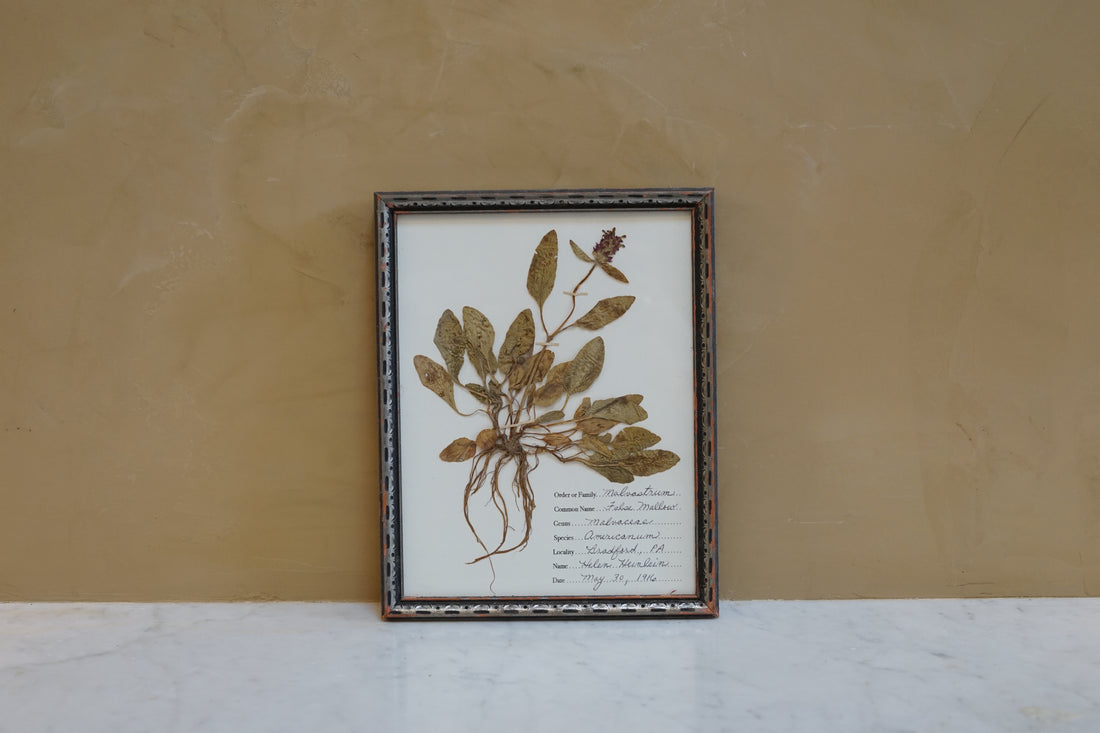 Botanicals Around The World 23