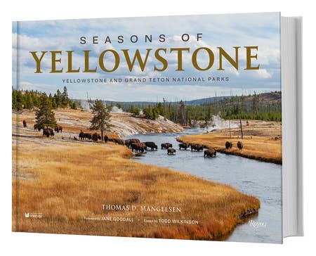 Seasons Of Yellowstone