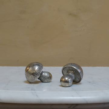 Mushroom Salt & Pepper Set