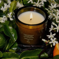 Night Blooming Jasmine & Damask Rose Candle