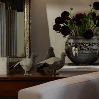 Bronze Pheasants