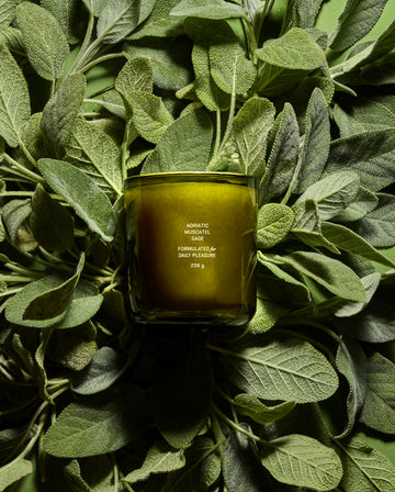 Adriatic Muscatel Sage Candle