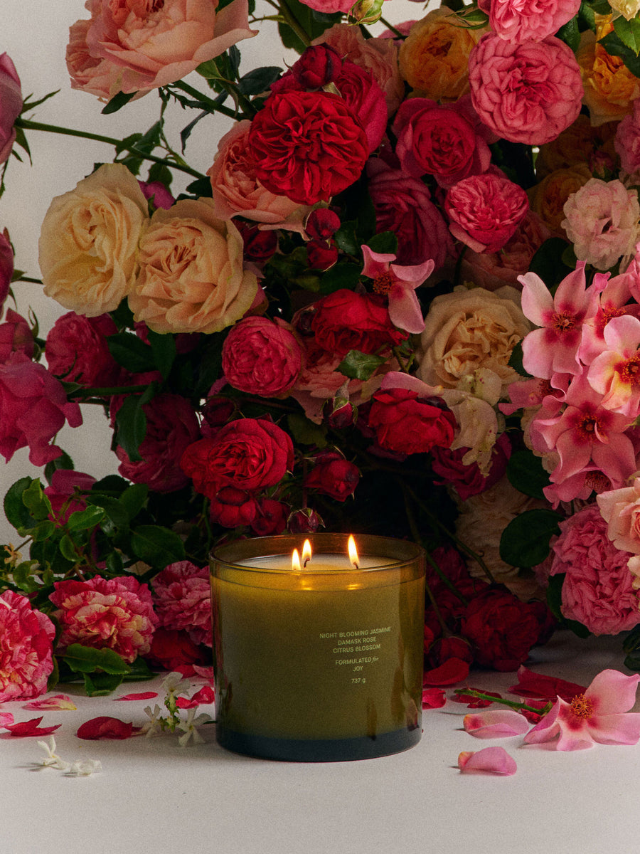 Night Blooming Jasmine & Damask Rose XL Candle