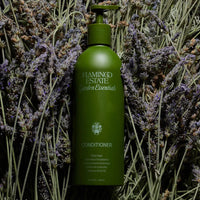 Tulsi & California Lavender Conditioner