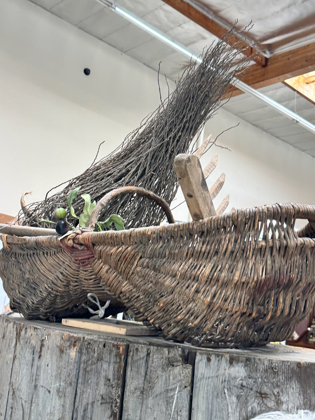 Grape Gathering Basket