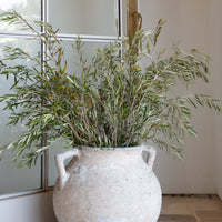 Vintage Willy Guhl Planter - Marmite