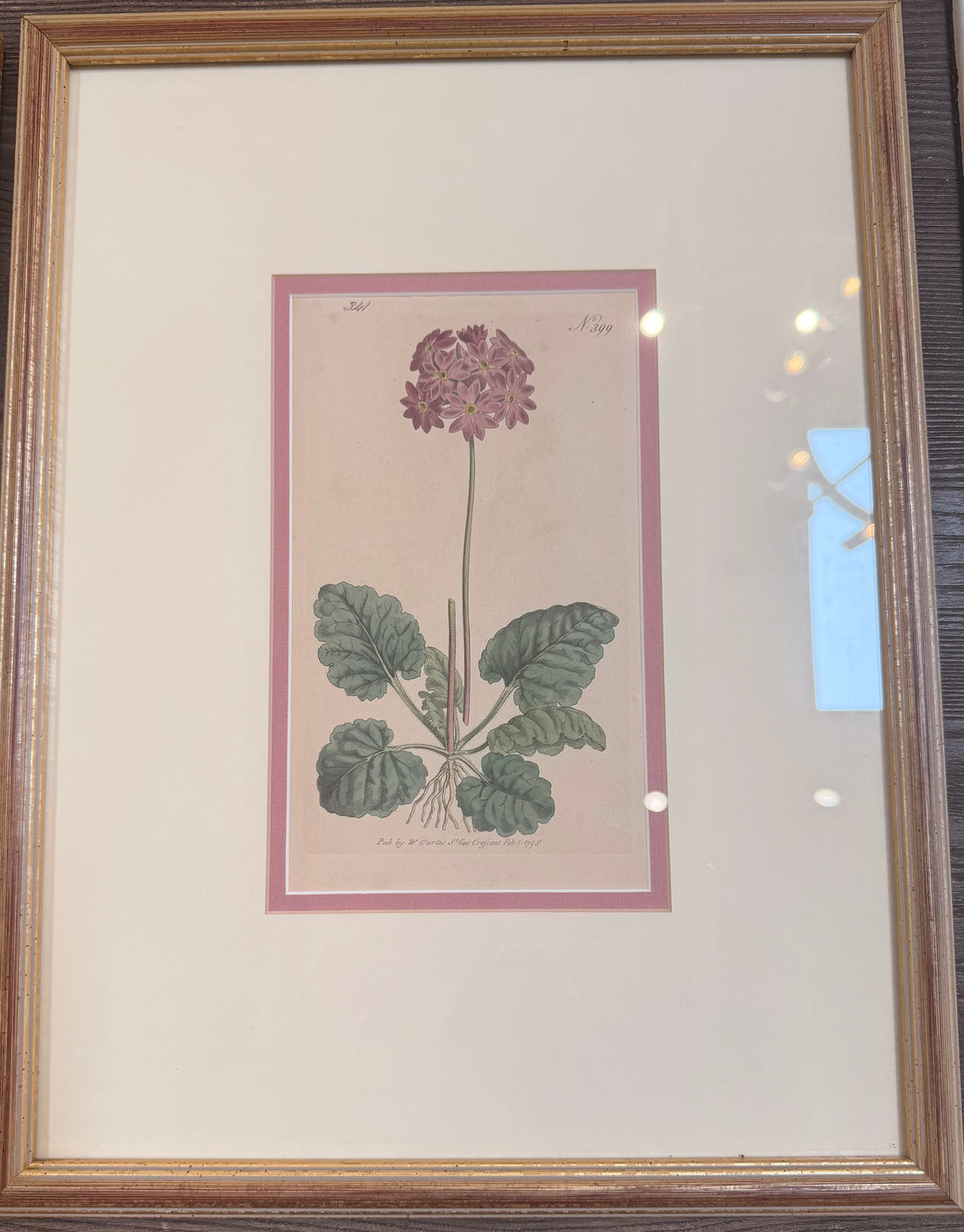 Framed Pink Botanical Prints