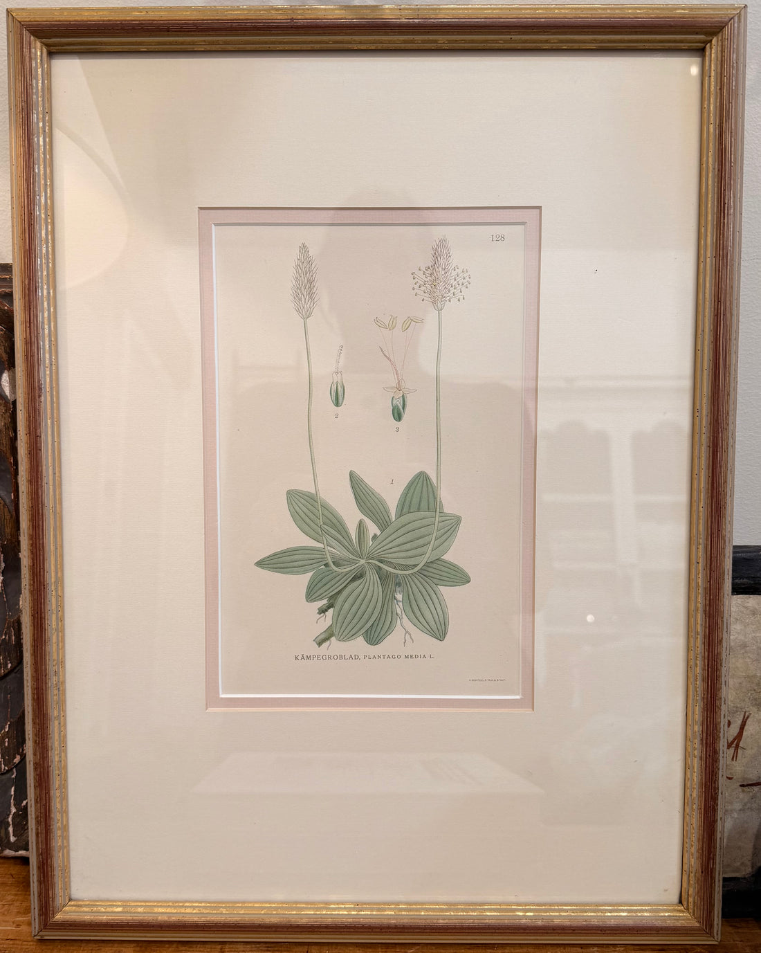 Framed Pink Botanical Prints