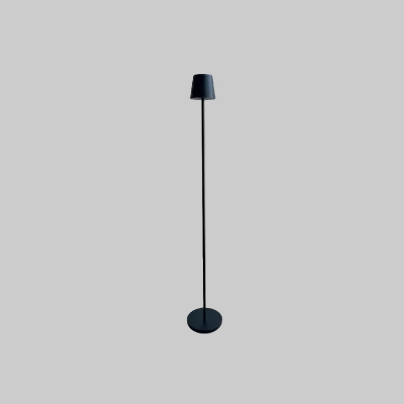 Cordless Floor lamp