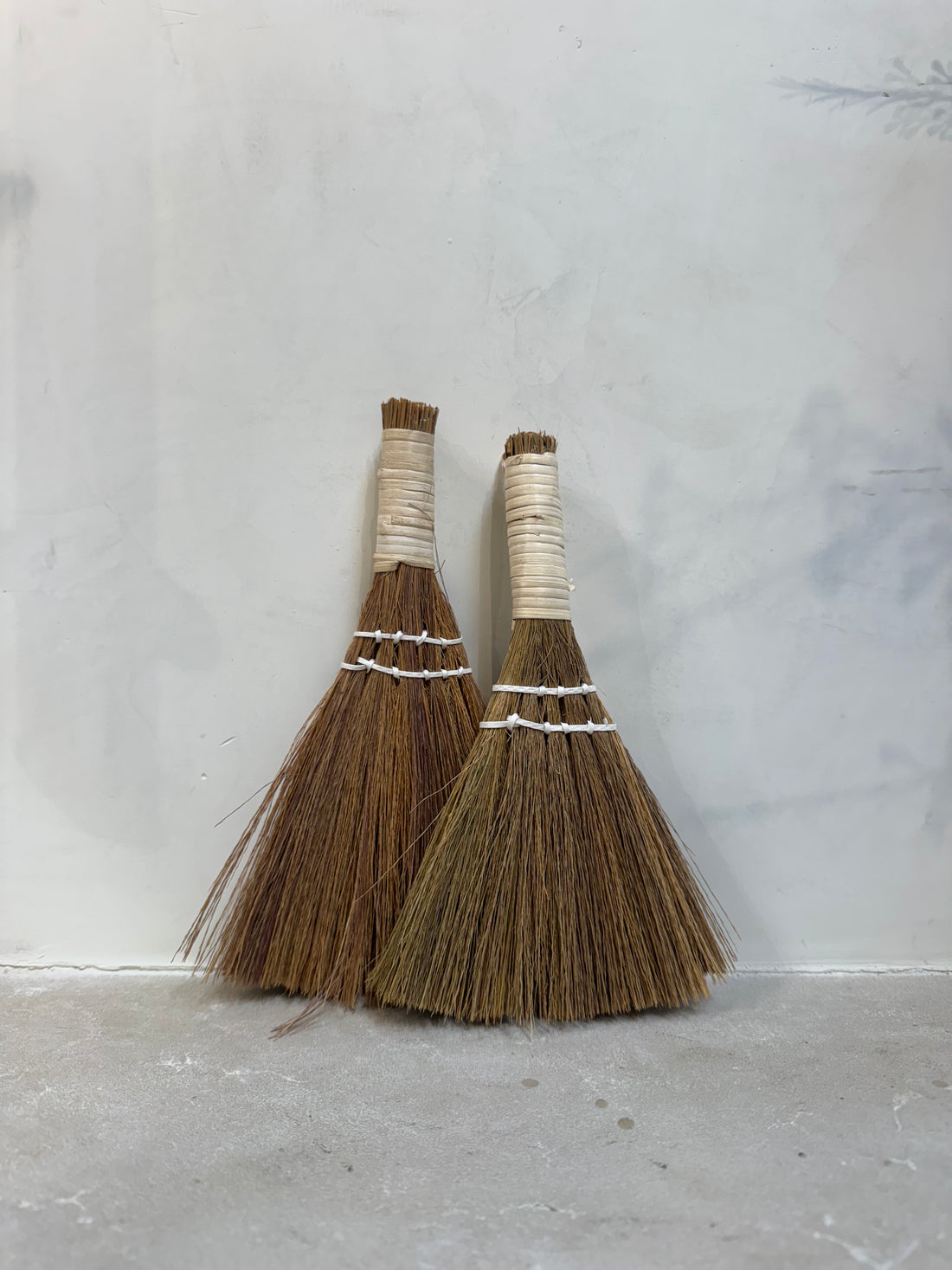 Seagrass Broom