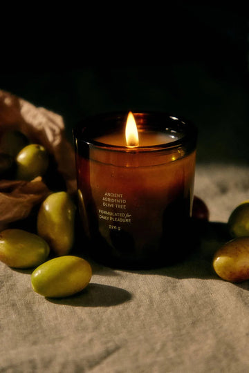 Ancient Agrigento Olive Tree Candle