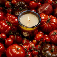 Roma Heirloom Tomato Candle