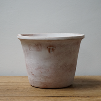 Whitewash Terracotta Pot