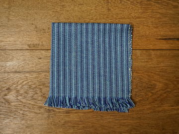 Blue Fringe Napkins (Set of 4)