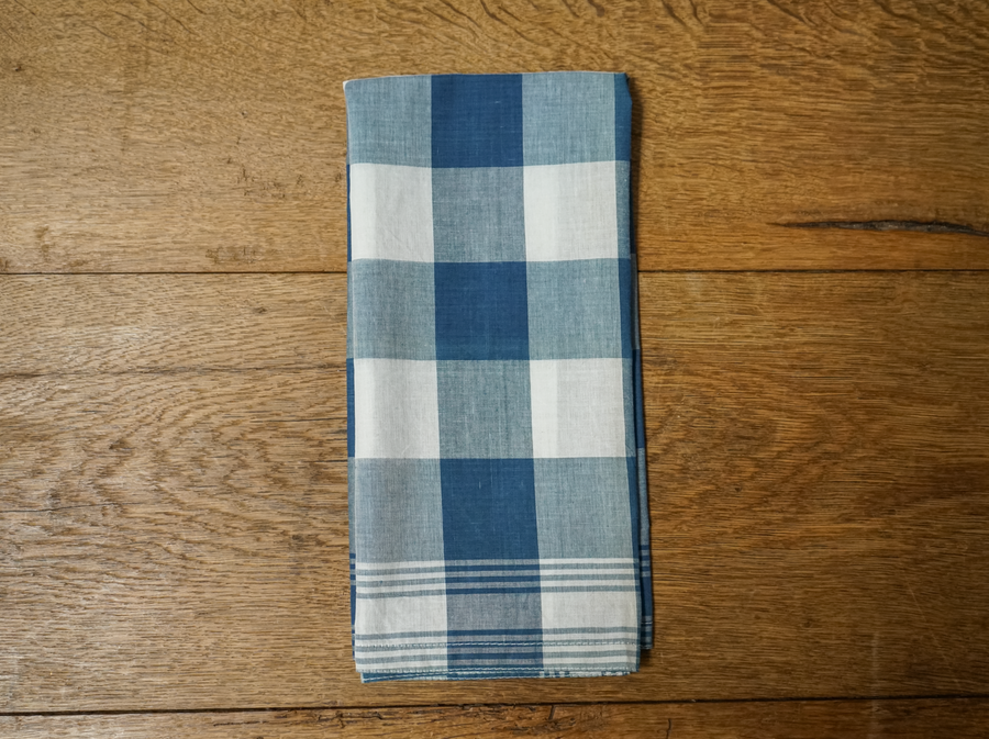 Blue Checkered Napkin (set of 4)