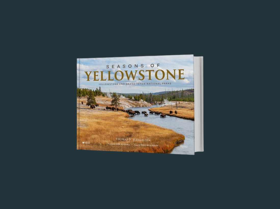 Seasons Of Yellowstone