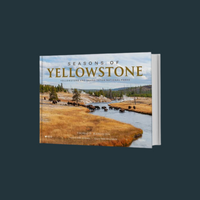 Seasons Of Yellowstone