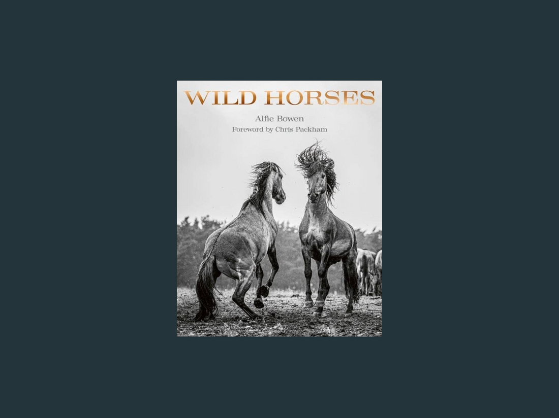 WILD HORSES