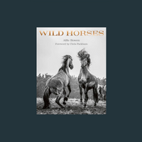 WILD HORSES