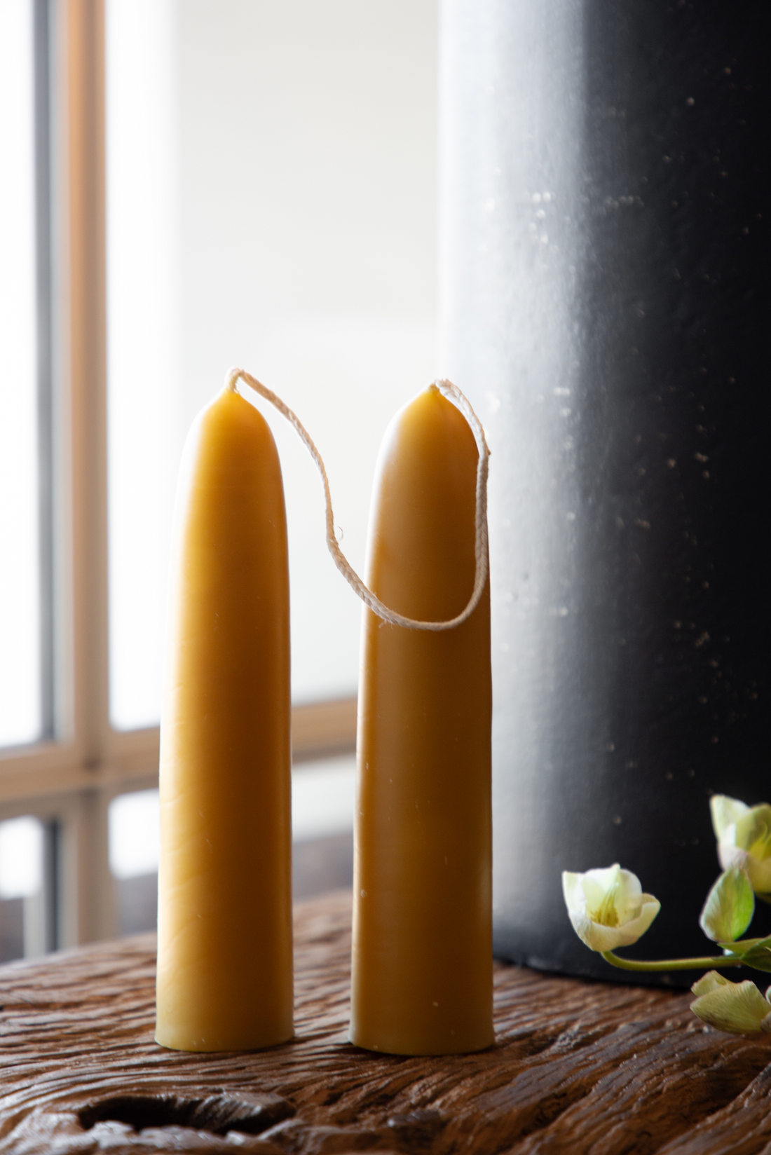 Organic Beeswax Stubby Tapered Candles