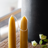 Organic Beeswax Stubby Tapered Candles