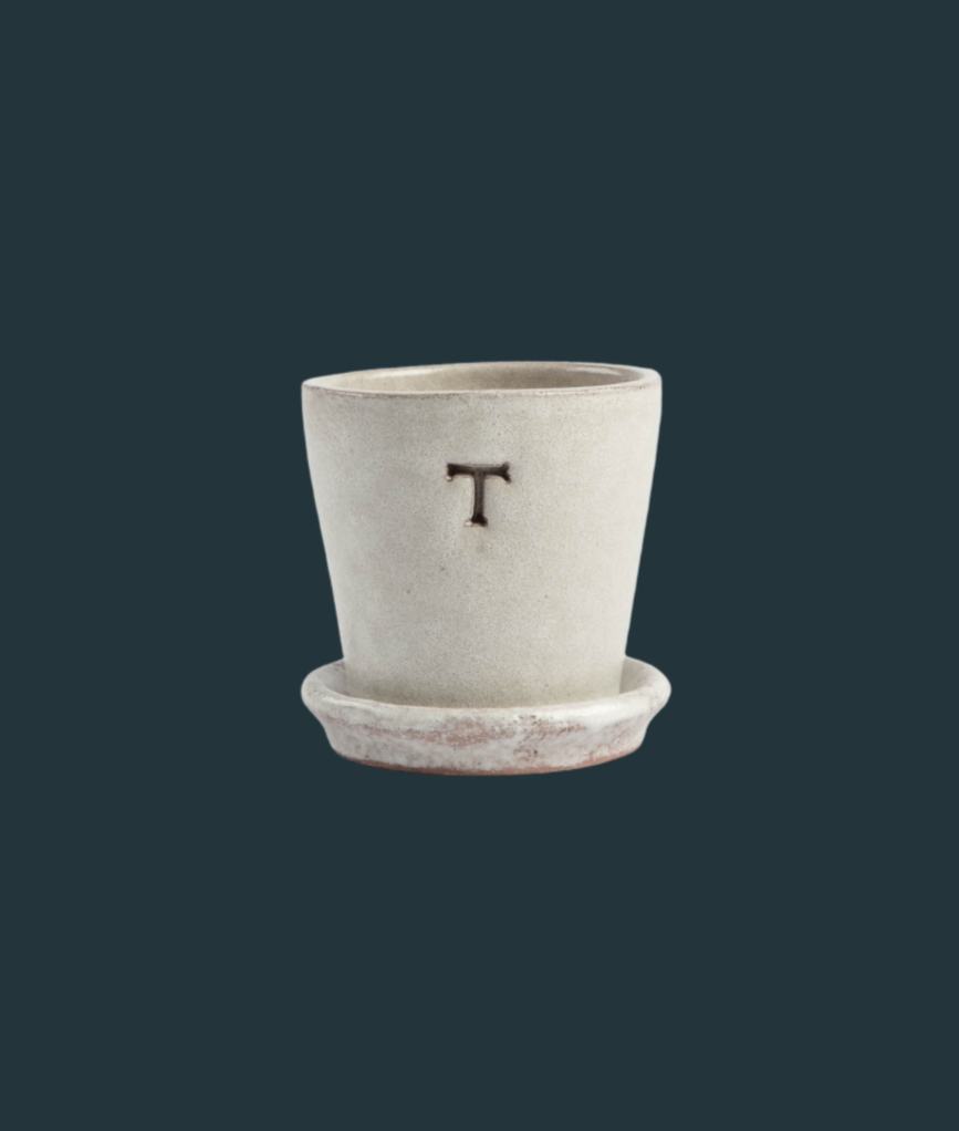 Petite White Terracotta Pot
