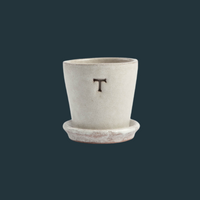 Petite White Terracotta Pot