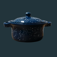Blue Mexican Lidded Pot with Handles