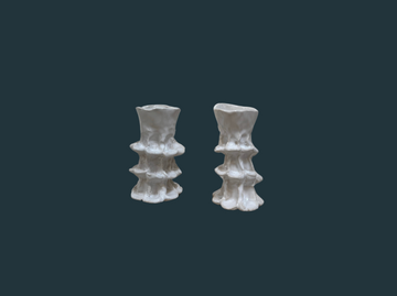 (Set of Two) Porcelain Ceramic Candle Stick Holders