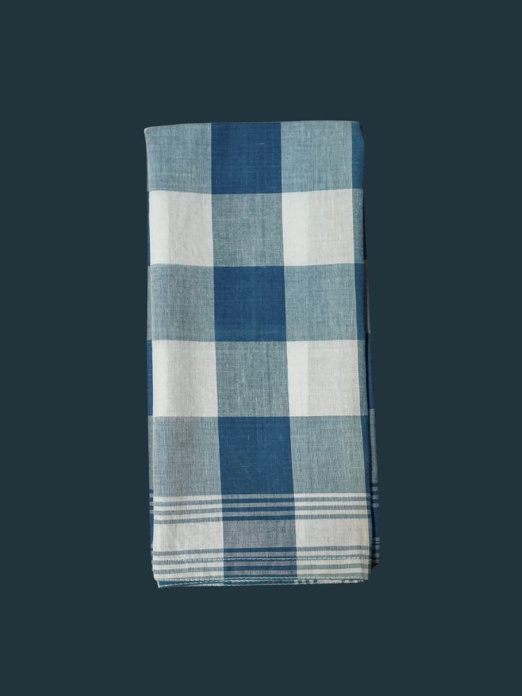 Blue Checkered Napkin (set of 4)